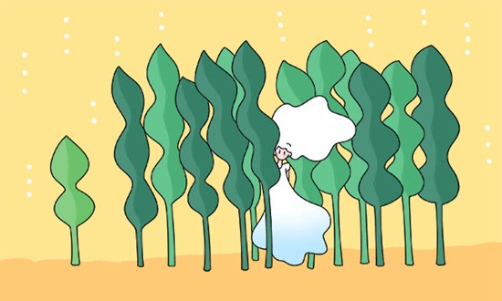 北京第二外国语大学加拿大3+2留学学费是多少？