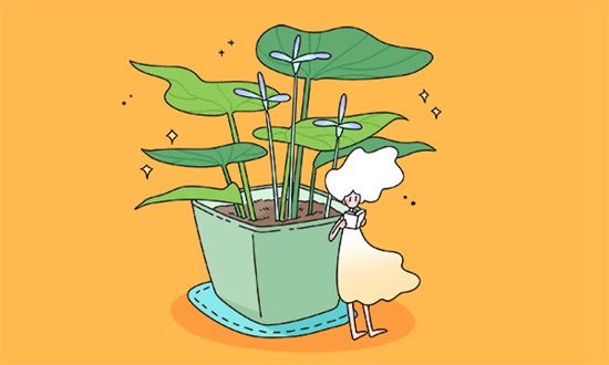 美国费尔蒙特高中2023年入学考试